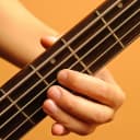 Learn to play Bass Guitar PRO icon