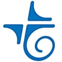 telebirr icon
