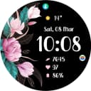 TVV Spring 2 Watch Face icon