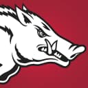 Arkansas Razorbacks icon