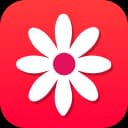 Gallery - Photo Album icon