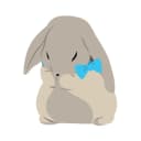 WhosDue icon