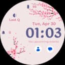 EXD041: Spring Watch Face icon