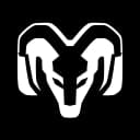 RAM icon