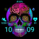 FW101 Digital Watch Face icon