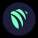 ArgoVPN icon