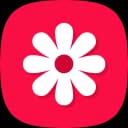 Gallery - photo gallery, album icon