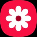Gallery icon