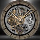 Elegant Skeleton Watch Face icon