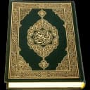 Al-Quran (Pro) icon