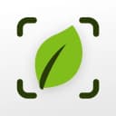 Plant Identifier & Care: Ficus icon