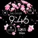 Seasonal Watch - Animated icon