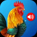 Animal Ringtones icon