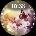 Spring Moments WearOS WF icon
