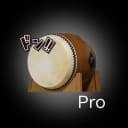 Taiko Pro/Japanese drum.Timer icon