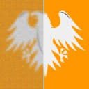 Eagle Image stacker icon
