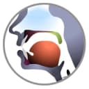 Sounds of Speech™ icon