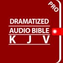 Dramatized Audio Bible -  Pro icon