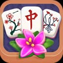 Mahjong Puzzle icon