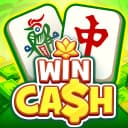 Win Mahjong icon