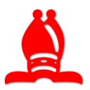 Chess Openings Wizard icon