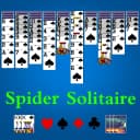 Spider Solitaire Pro+ icon