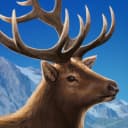 Cascadia Digital icon