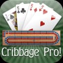 Cribbage Pro Online! icon