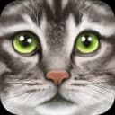 Ultimate Cat Simulator icon