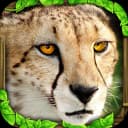 Cheetah Simulator icon