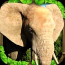 Elephant Simulator icon