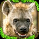 Hyena Simulator icon