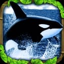 Orca Simulator icon