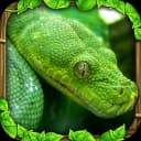 Snake Simulator icon