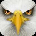 Ultimate Bird Simulator icon