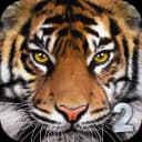 Ultimate Tiger Simulator 2 icon
