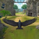 Am Prankster Bird Sim 3D icon