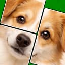 Jigmagic Solitaire Puzzle icon