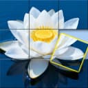 Jigmatch - Zen Puzzle icon