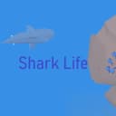 Shark life pro icon