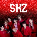 Stray Kids Challenge icon