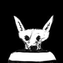 Looped icon