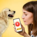 Dog Translator Dog to Human icon