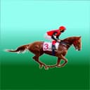 Horse Race Manager Pro icon