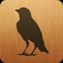 Blackbird icon