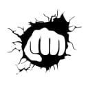 OG Fighter icon